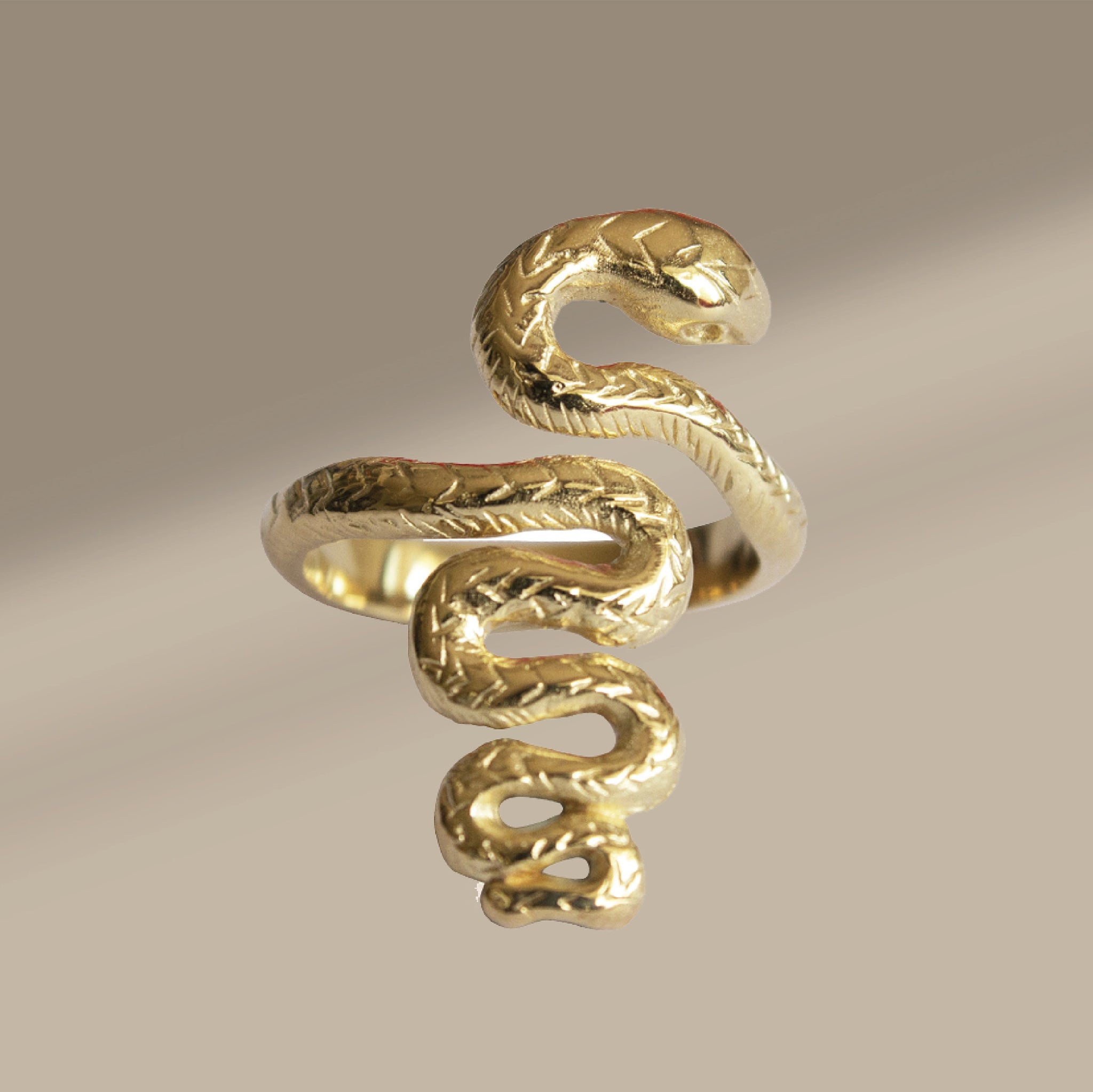 The Snake Charmer