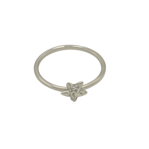 Starfish Essential Ring